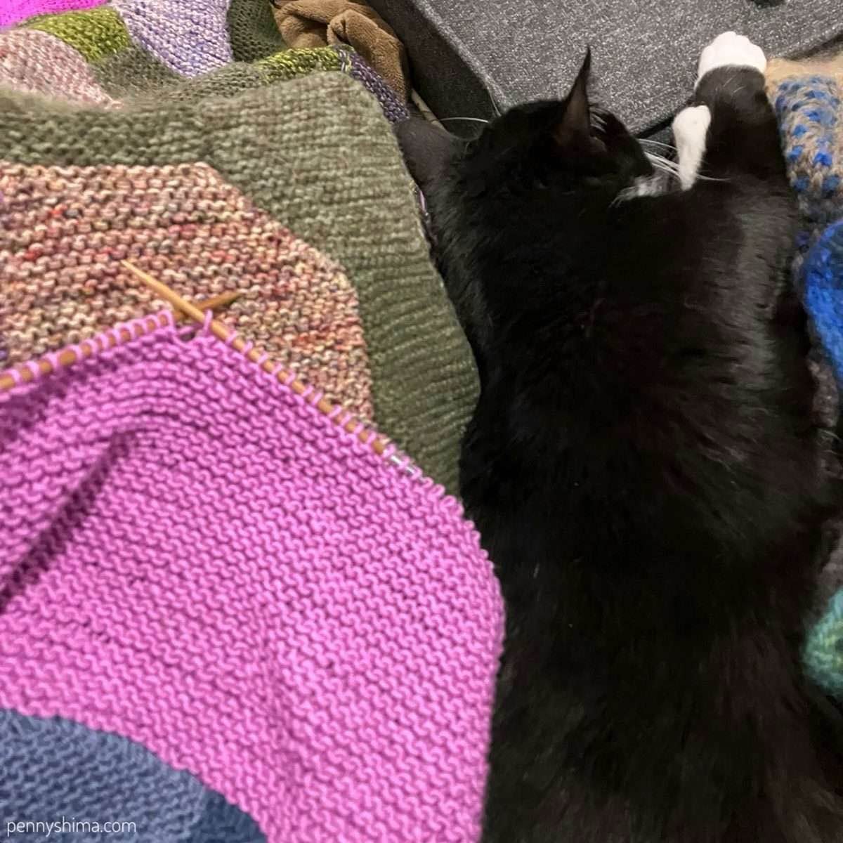 Tuxedo cat stretched out next to a knit blanket in progress