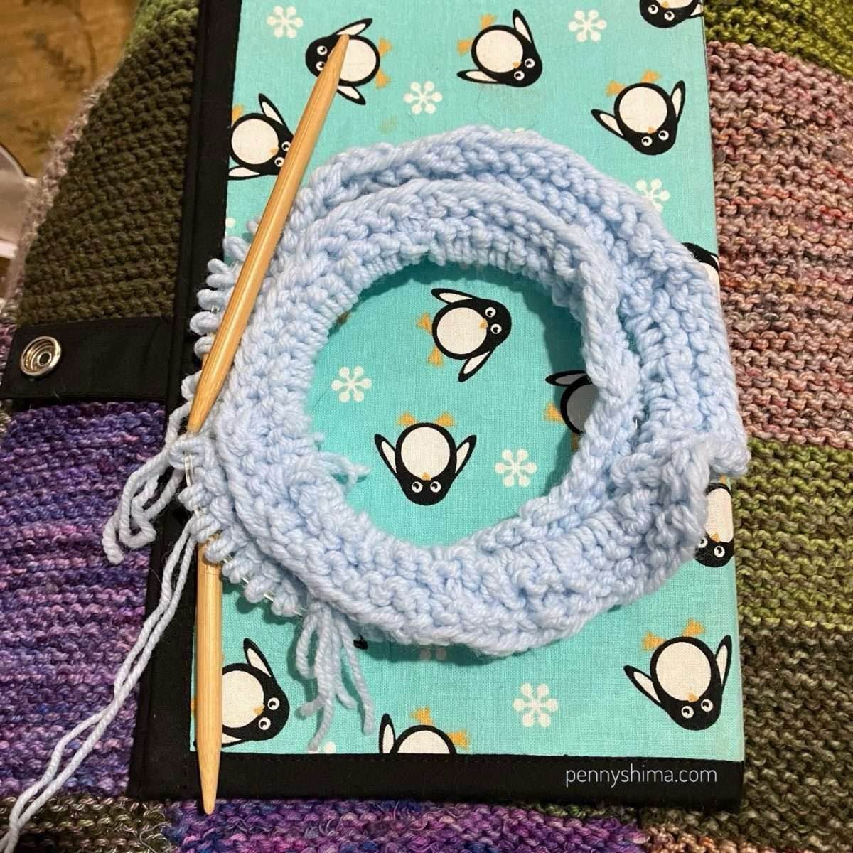 light blue project on a circular needle.