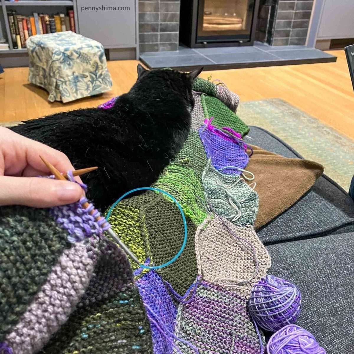 Tuxedo cat on the garden as safe space blanket while it’s being knitted on.