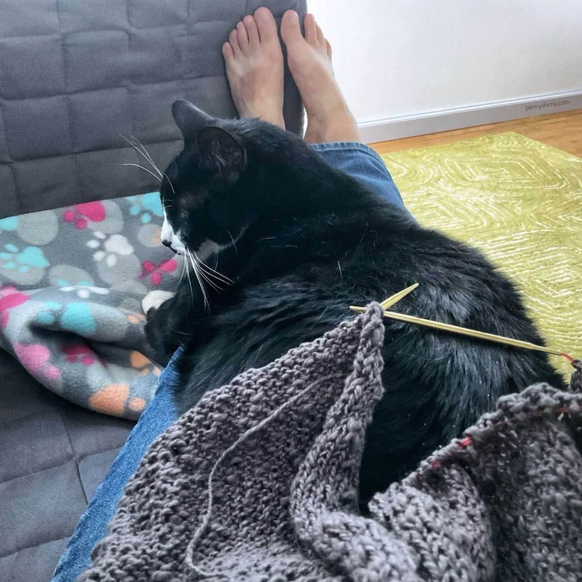 Tuxedo cat laying on their person whose jeans clad legs are stretched out on top of a fleece blanket on a grey couch. The knitting is on the cat’s back.