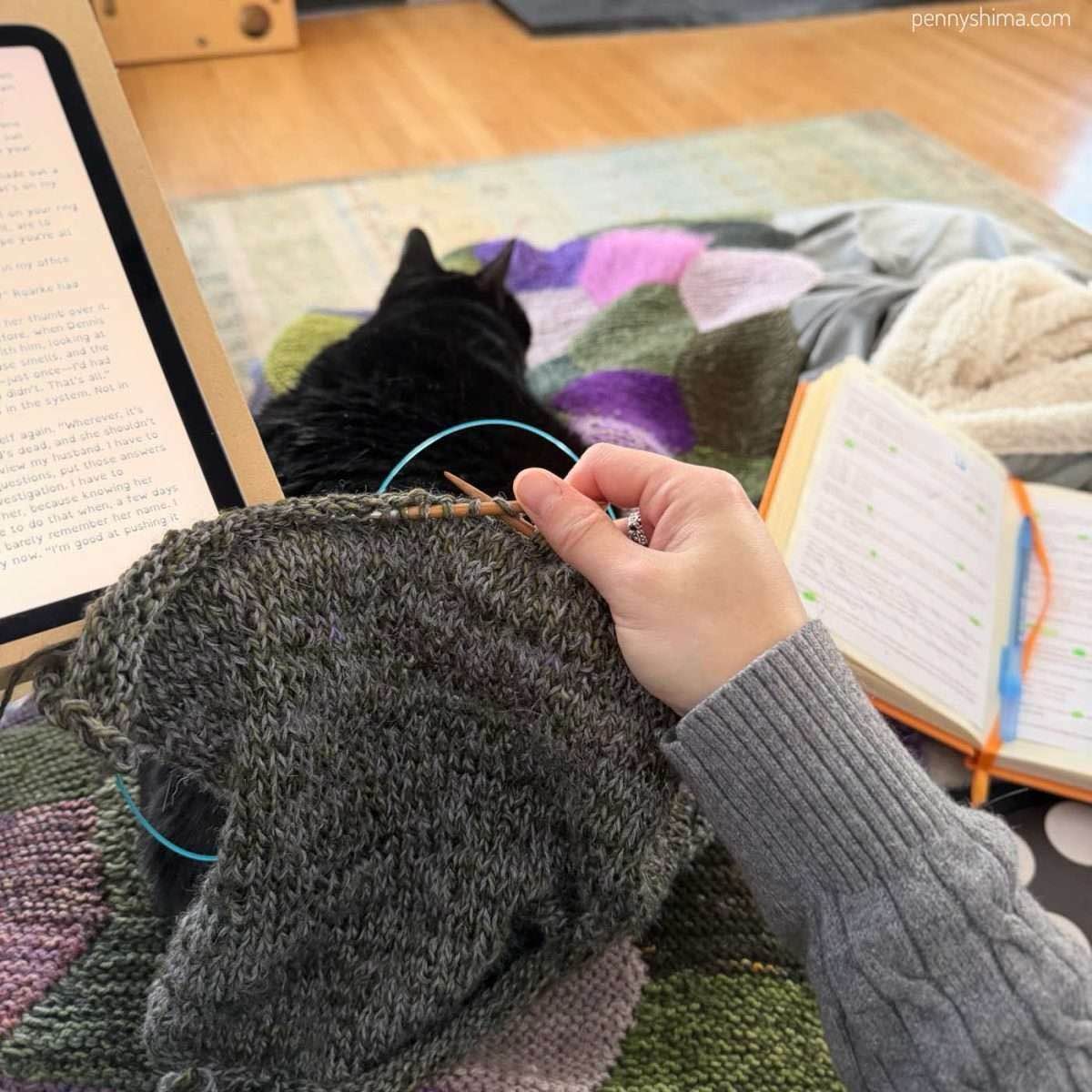 knitter holding back of lulu slipover in progress. an ipad is on a stand to their left. a cat is asleep on their blanket covered lap, and an open notebook is to their right.