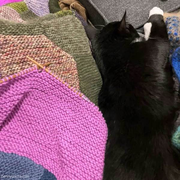 Tuxedo cat stretched out next to a knit blanket in progress