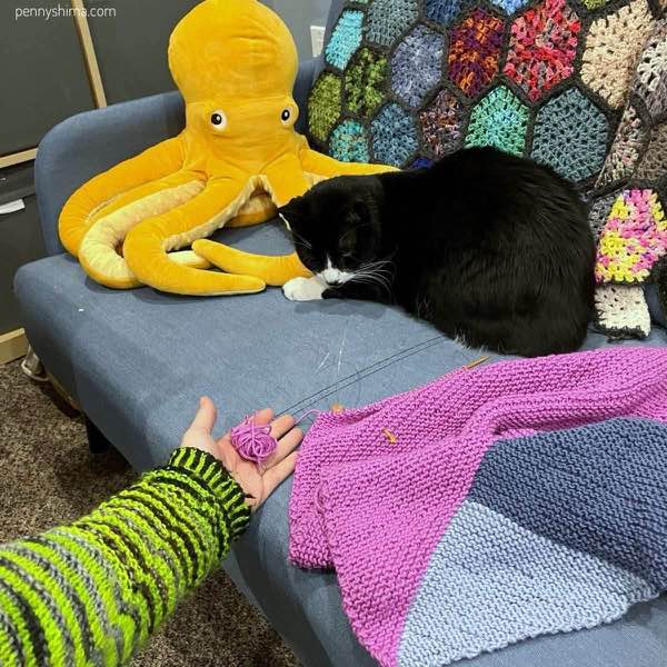 person wearing neon green and dark neutral striped sweater holding a small amount of pink yarn next to a garter st project that is mostly pink (and two shades of blue are visible). This project is on a light blue couch and a tuxedo cat is looking at the project with longing. A colorful granny hexagon blanket is on the back of the couch and a golden stuffed octopus toy is next to the cat.