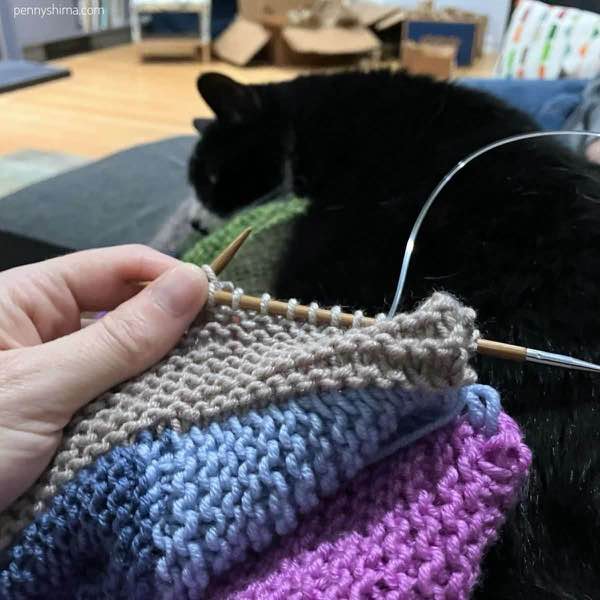 Blanket in progress in oinks, blues, and tan held in front of a tuxedo cat.