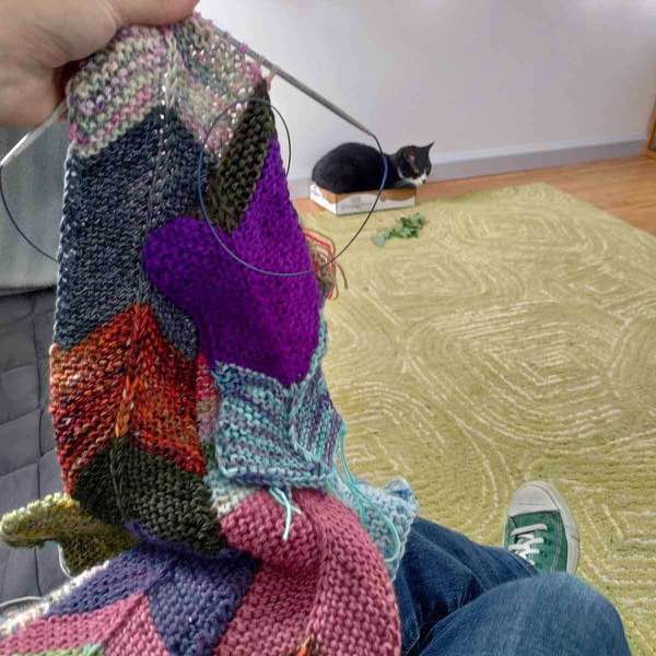 Blanket in progress needles visible, with a cat in the background sitting in a box