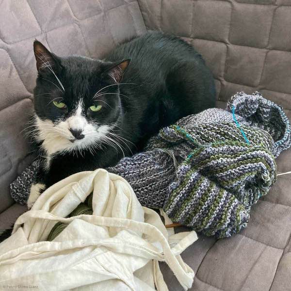 A tuxedo cat laying on the shawl in progress and looking at the camera. The cat is on a grey couch.