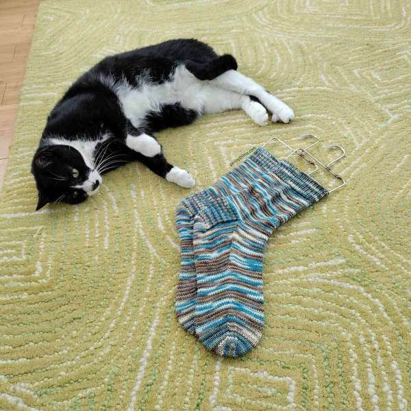 completed socks shown on blockers next to a tuxedo cat on a green wool rug (Oink Pigments Targee Sock in "Size of the Boat")