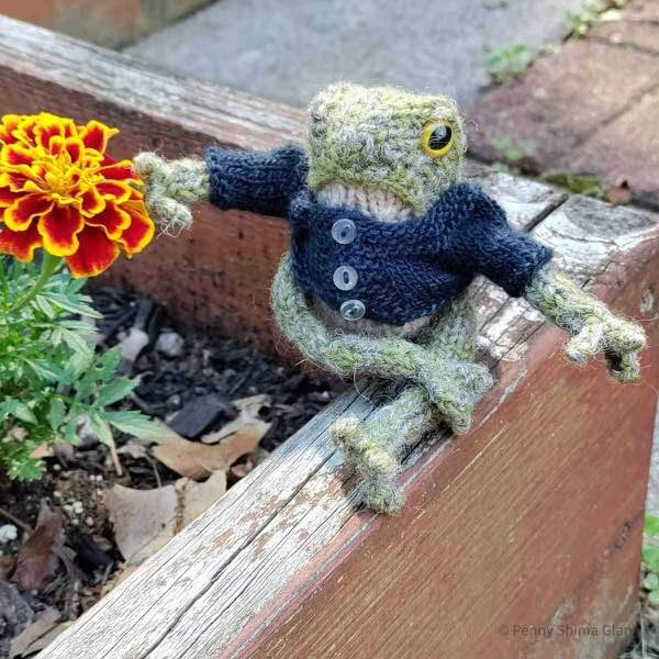 Frog sitting on the edge of a raised bed wearing a navy cardigan. The hand is near a bicolor marigold.