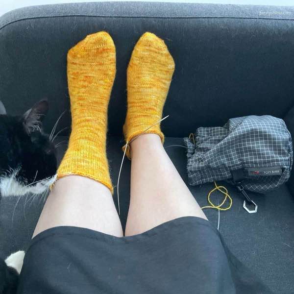 One complete sock and the second one in progress modelled with a tuxedo cat sniffing