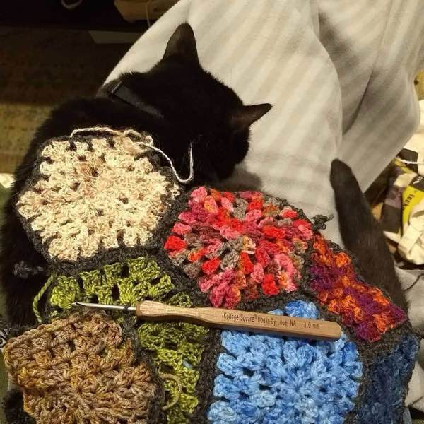 Black cat with hexagon blanket in progress on his back. he's sitting on his person's lap on a grey fleece blanket