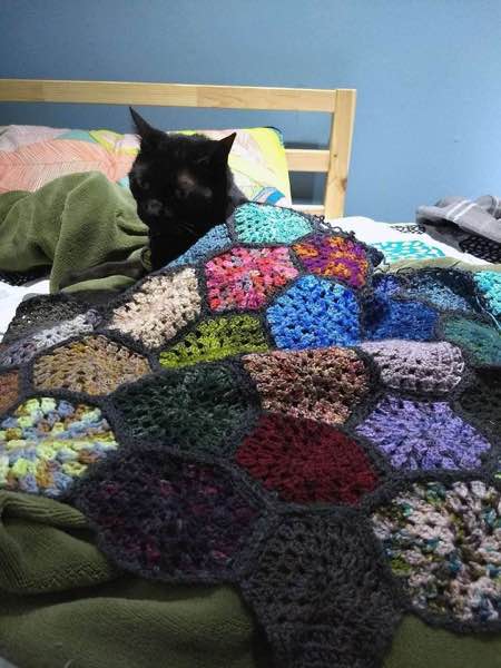 Black cat under a hexagon granny square blanket. He is on a bed.