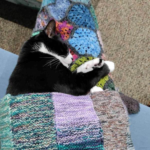 Tuxedo cat asleep on her person's lap which is covered by a hexagon granny square blanket. on top of the cat is some of the garterstitch stripe blanket