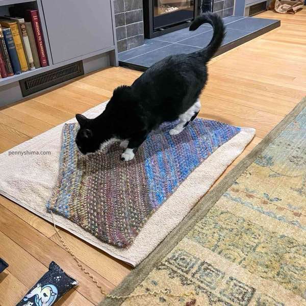 Blocked cowl on towel being inspected by the cat.