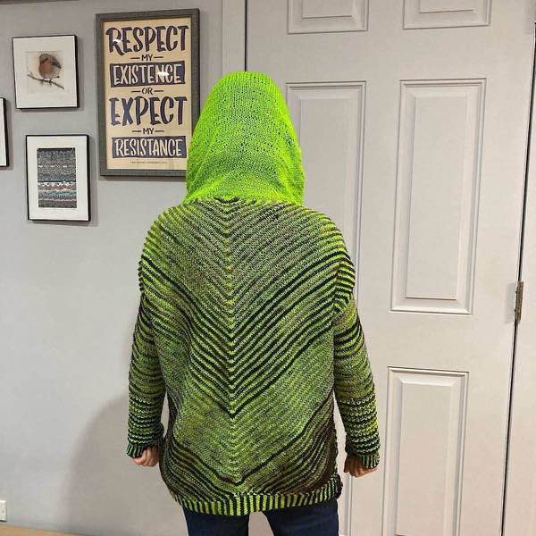 Modeling the KAL sweater back view, hood up. Person is in front of a grey wall with some artwork displayed: a watercolor robin, a pen drawing, a print reading “respect my existence or expect my resistance”