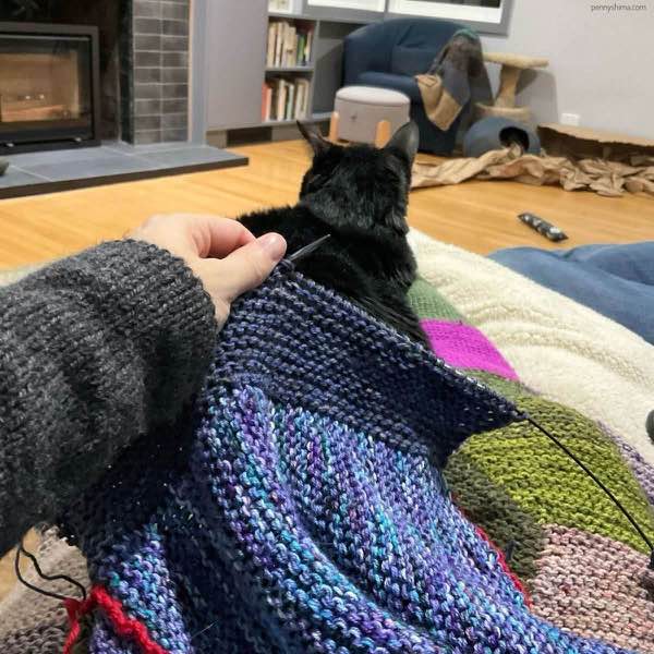 blue purple marled garter stitch fabric. a line of red shows the arm hole. and blue-grey collar is in progress. a tuxedo cat is laying on the knitter's lap.