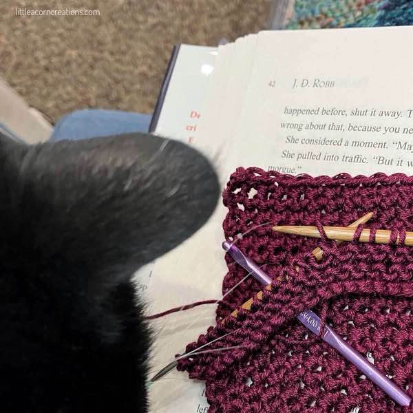 Dot looking at two swatches flat laid on a book